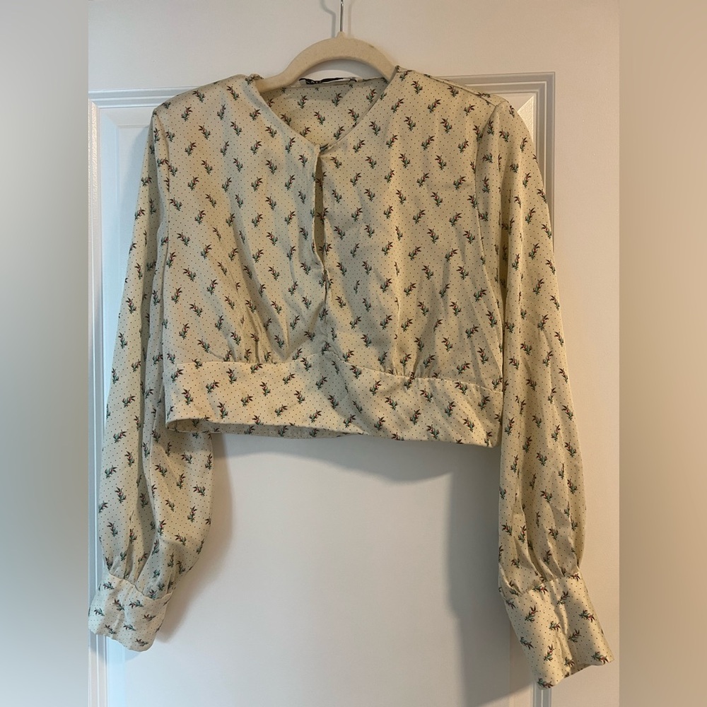 Zara Cropped Blouse